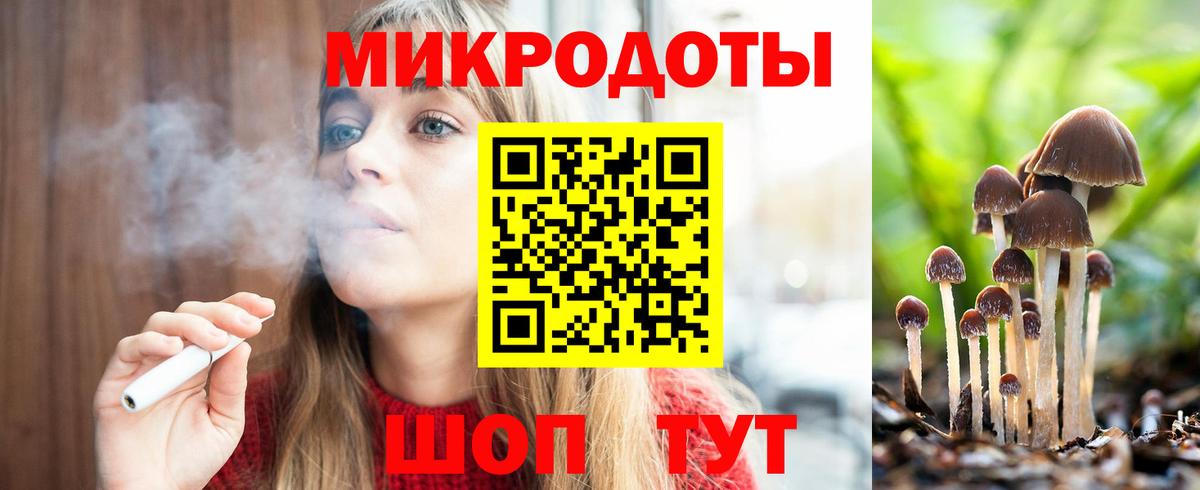 Галлюциногенные грибы Psilocybine cubensis Улан-Удэ