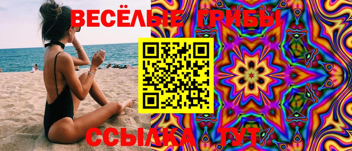 Улан-Удэ  Псилоцибиновые грибы Psilocybine cubensis  Вход с VPN 